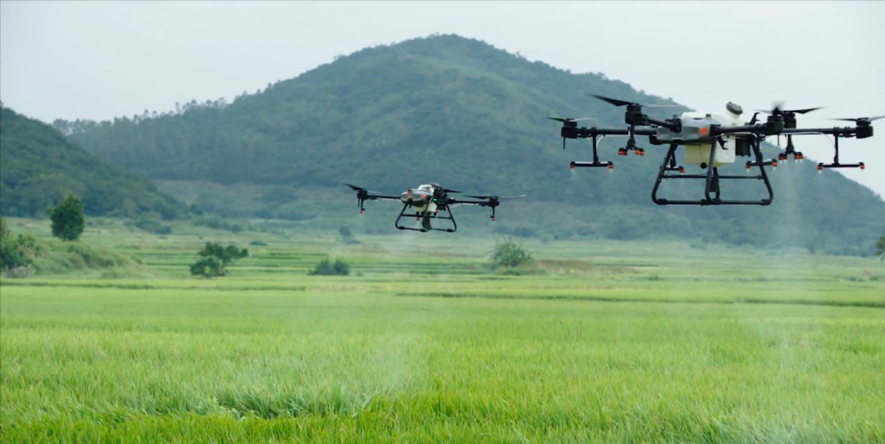 Drones E Agricultura De Precis O Revolucionando A Gest O De Safras